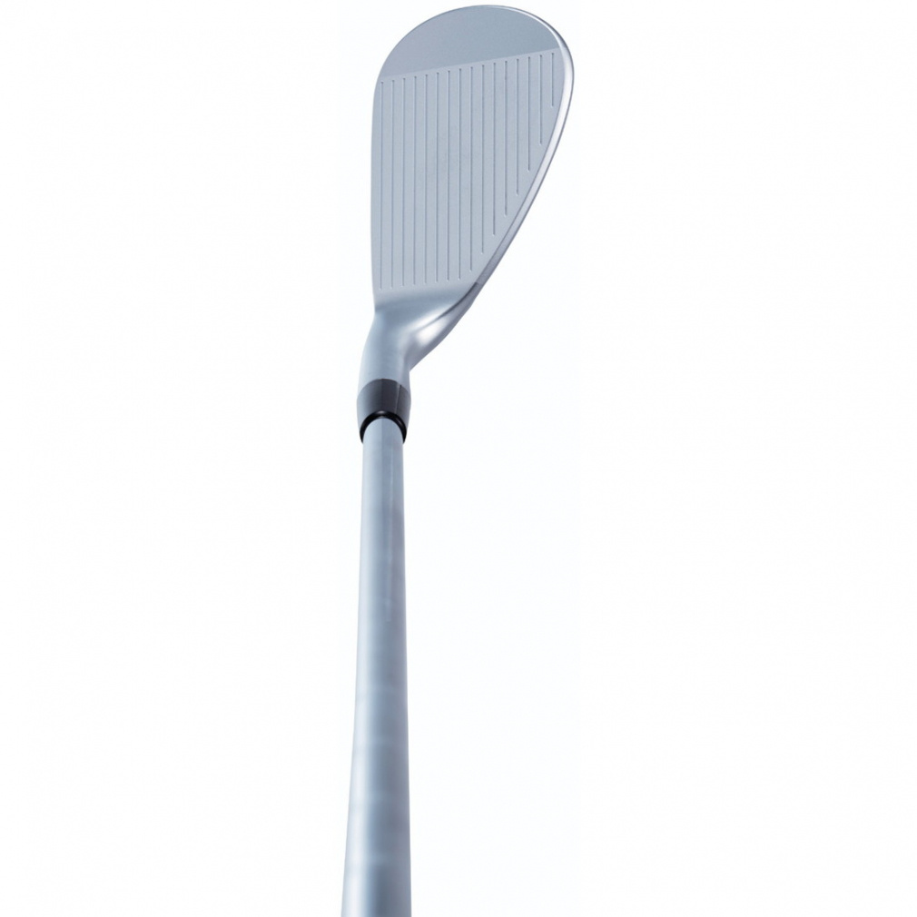 DW-120G ドルフィン ウェッジ セミグース Dolphin DP-201 50゜｜Alpen