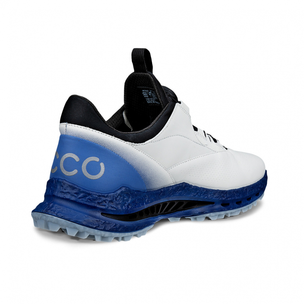 エコー ゴルフシューズ バイオム シーファイブ ボア BIOM C5 BOA