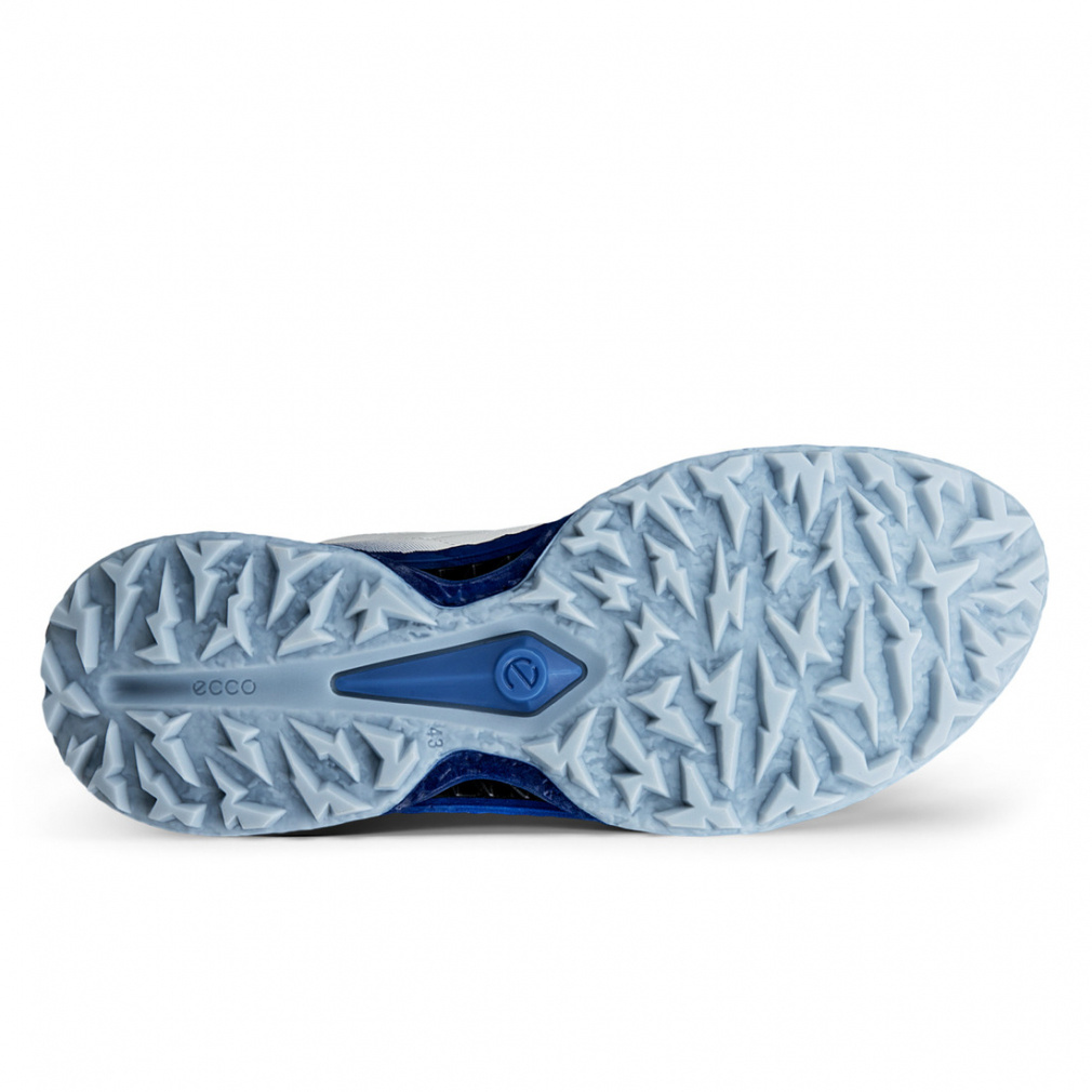 エコー ゴルフシューズ バイオム シーファイブ ボア BIOM C5 BOA