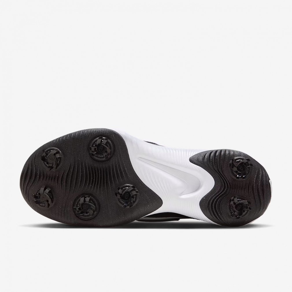 ナイキ ゴルフシューズ VICTORY PRO 3 W NN (DX9028010) メンズ ゴルフ