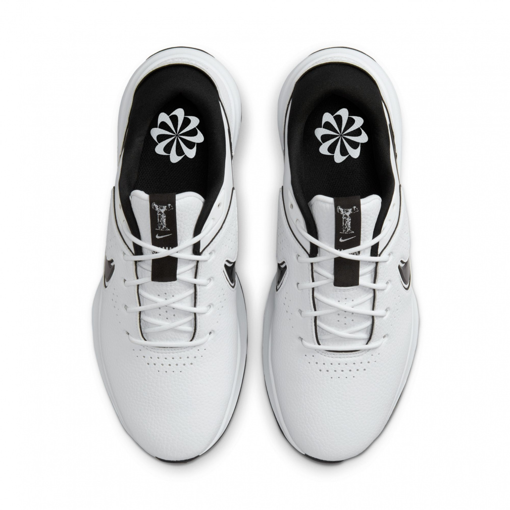 ナイキ ゴルフシューズ VICTORY PRO 3 W NN (DX9028110) メンズ ゴルフ