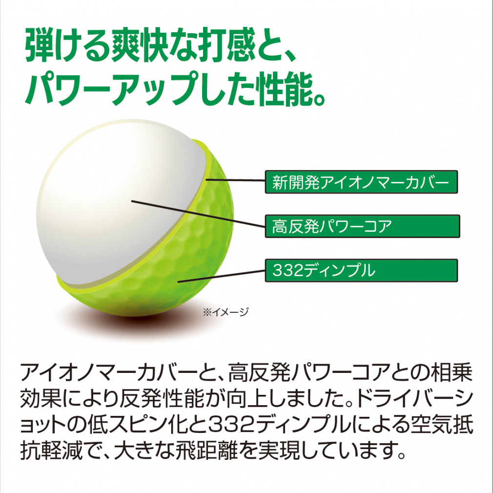 「超激レア」モンステラ　ライトライム　Light Lime ハーフムーン　本物 楽天市場】【常緑低木】【ハーブ】 サントリナ レモンライム