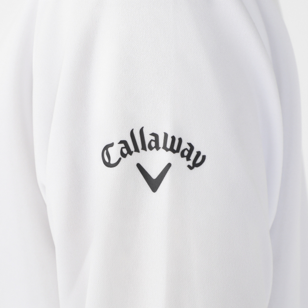 ストレッチスムース モックネックシャツ C24233102｜Alpen Online