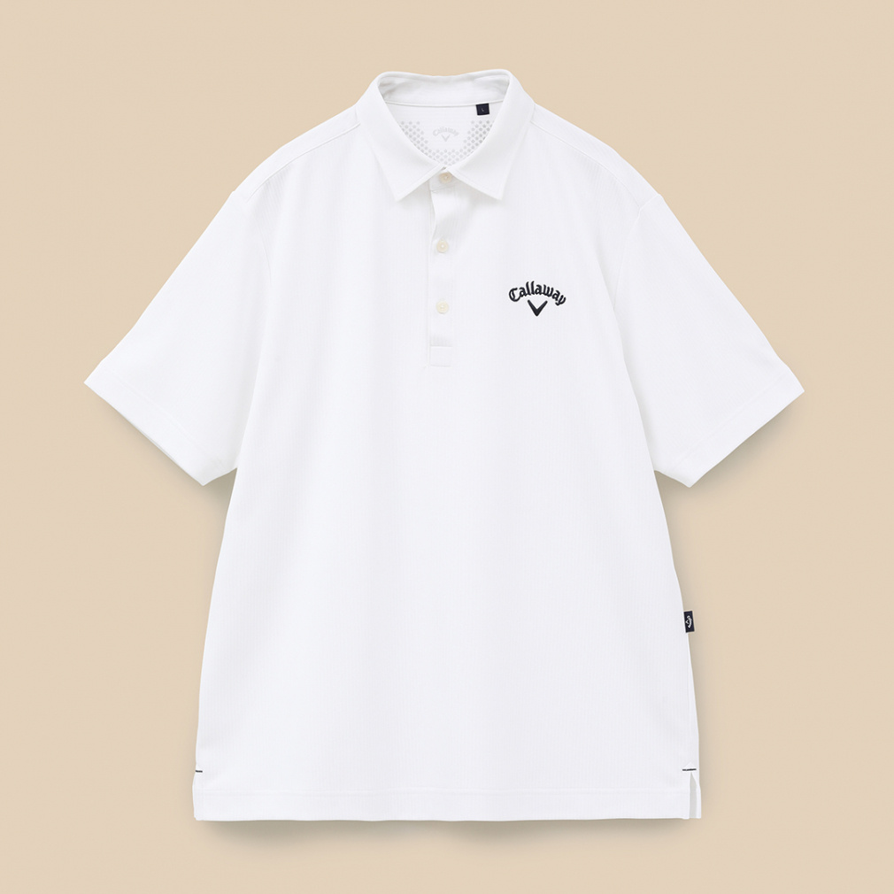ストライプジャカード 半袖シャツ C24134110｜Alpen Online