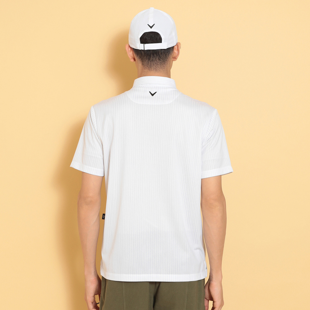 かざあなメッシュストライププリントシャツ C25134118｜Alpen Online