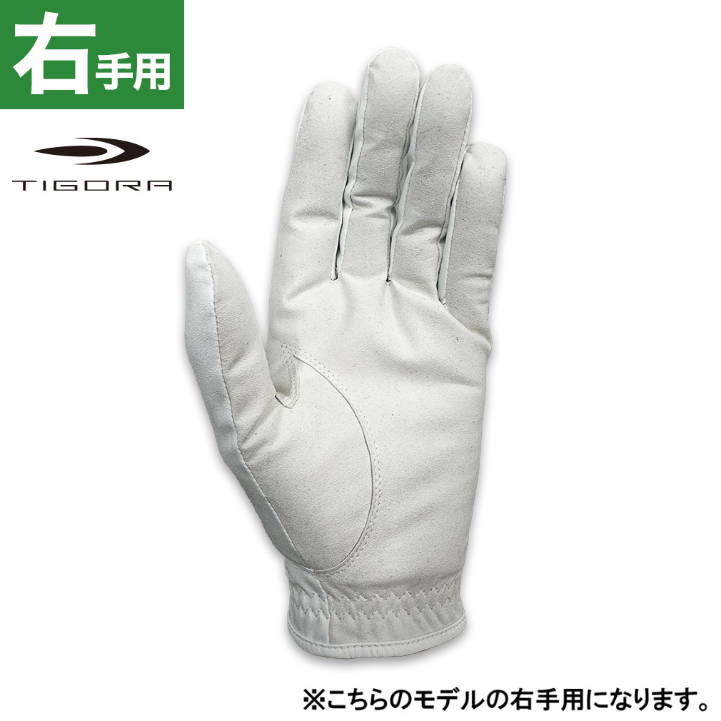 グローブ 右手 TR-1G1444R 汗・雨に強いオールウェザータイプ｜Alpen