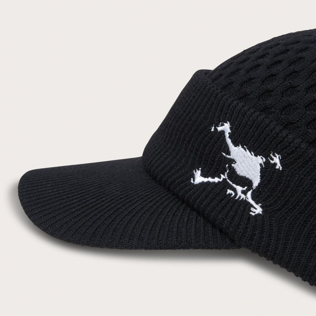 オークリー ゴルフウェア ニット帽子 秋 冬 SKULL BRIM BEANIE FA 25.0
