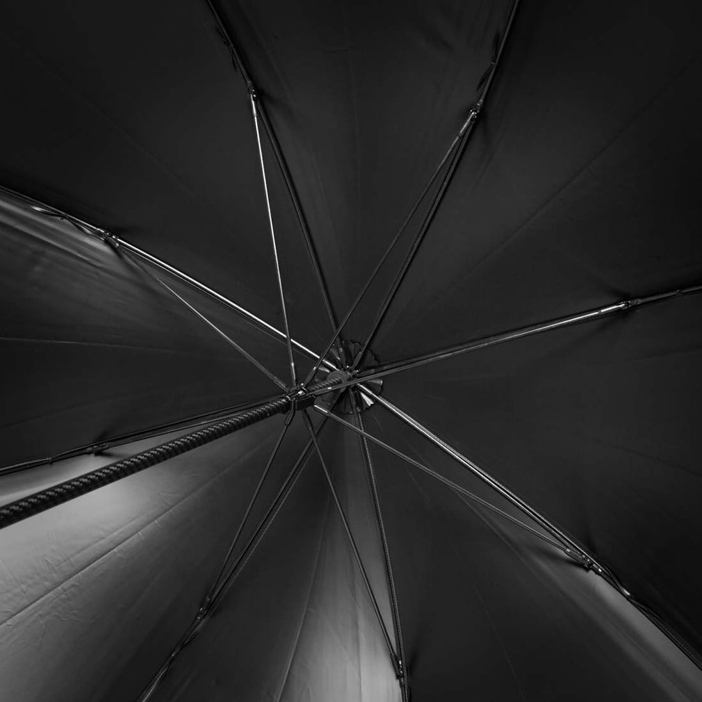 ブリーフィング CARBON SHAFT UMBRELLA 2 (BRG243G23) ゴルフ 傘