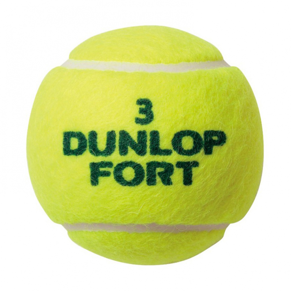 ダンロップ FORT フォート 2球×30缶×2箱(120球) DFEYL2DOZ 2箱セット