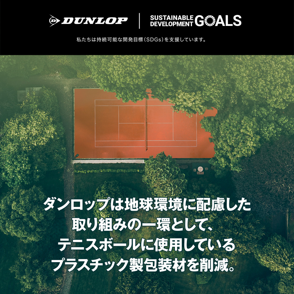 ダンロップ FORT フォート 2球×30缶×2箱(120球) DFEYL2DOZ 2箱セット