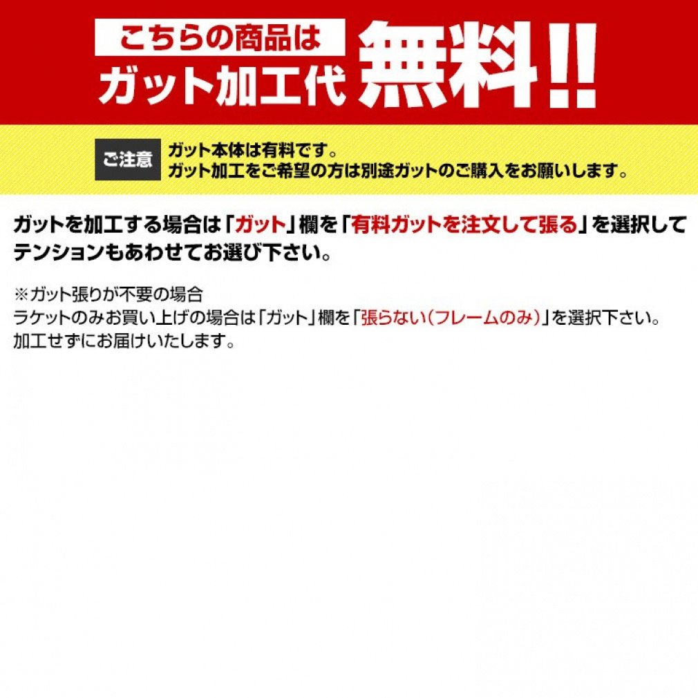 ナノフレア　1000game ガット付き　補修有 ナノフレア 1000game ガット付き 補修有 ラケット