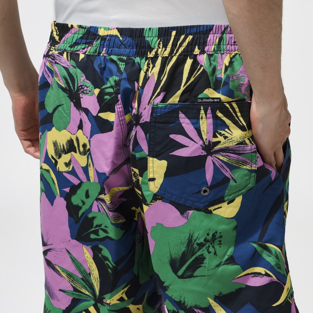 クイックシルバー メンズ マリン ボードショーツ EVERYDAY PRINTED