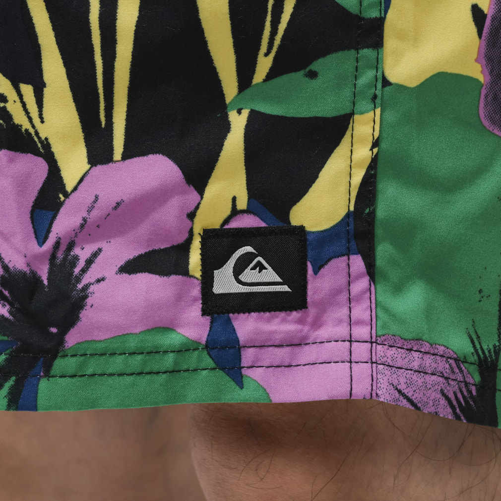 クイックシルバー メンズ マリン ボードショーツ EVERYDAY PRINTED