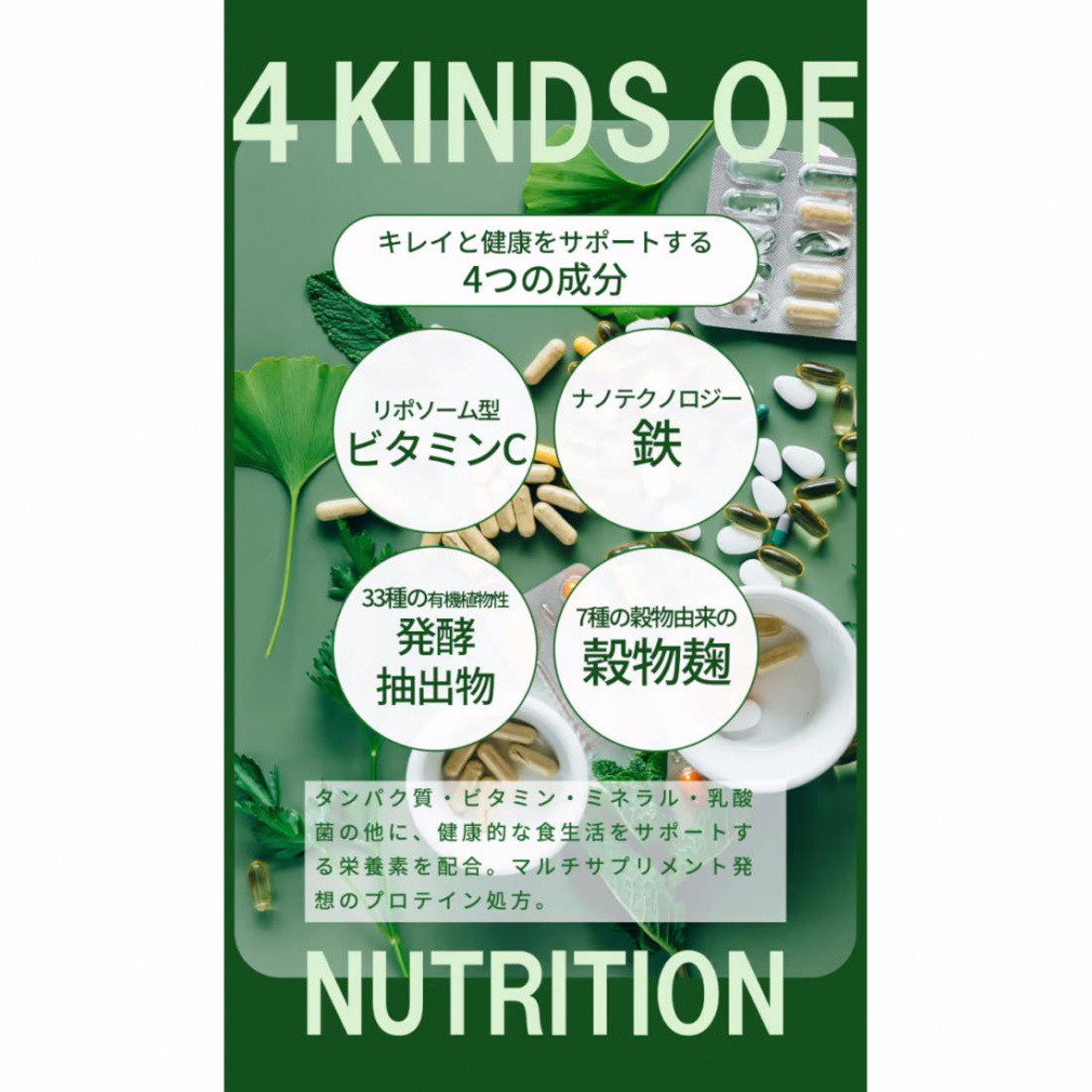 マリネス プロテイン リッチチョコレート 約15回分 345g