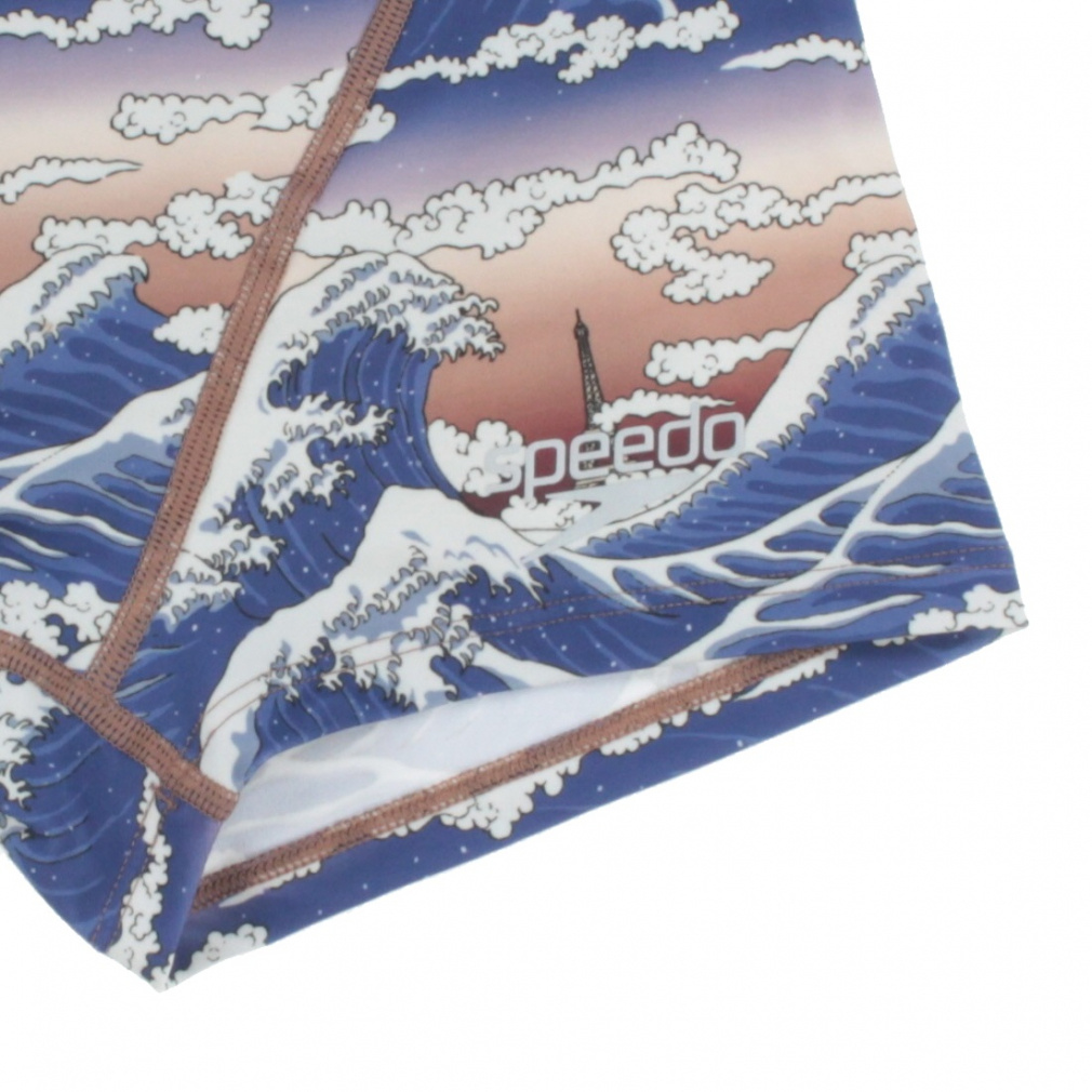 超希少❗️サイズ大❗️ポリシャス　フリスビー　煌✨ 送料無料でお届け オシャレで育てやすい観葉植物 - 観葉植物専門店