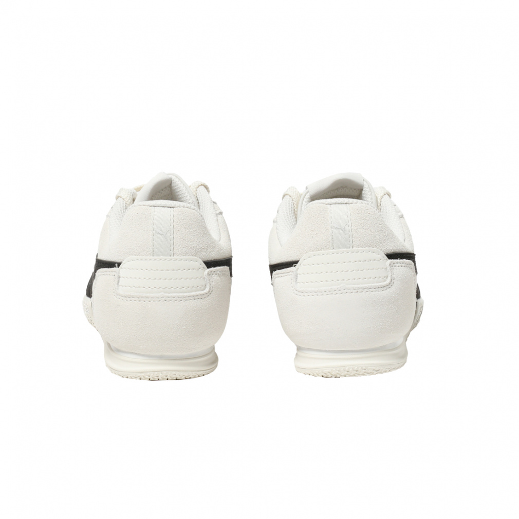 ベラドンナ ナイロン｜Alpen Online