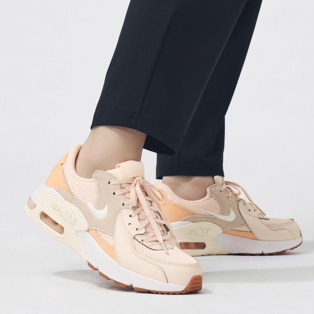 ナイキ ウィメンズ エア マックス エクシー CD5432-800 レディース