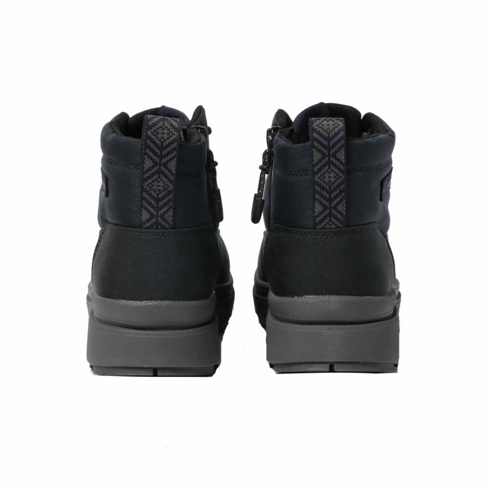 40 山採り　アセビ 楽天市場】山採り【アセビ】 株立ち 自然樹形 樹高H≒145 × 枝張W