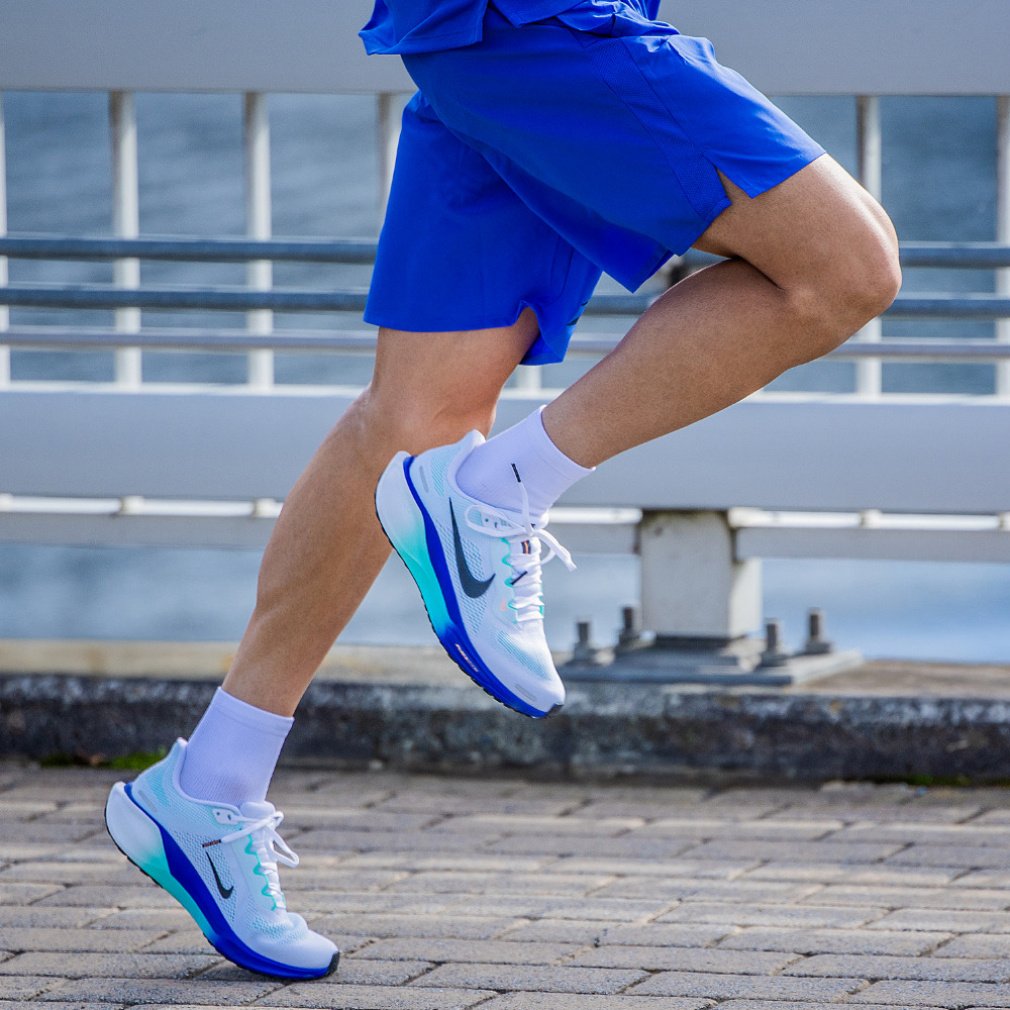 エア ズーム ペガサス 41｜Alpen Online