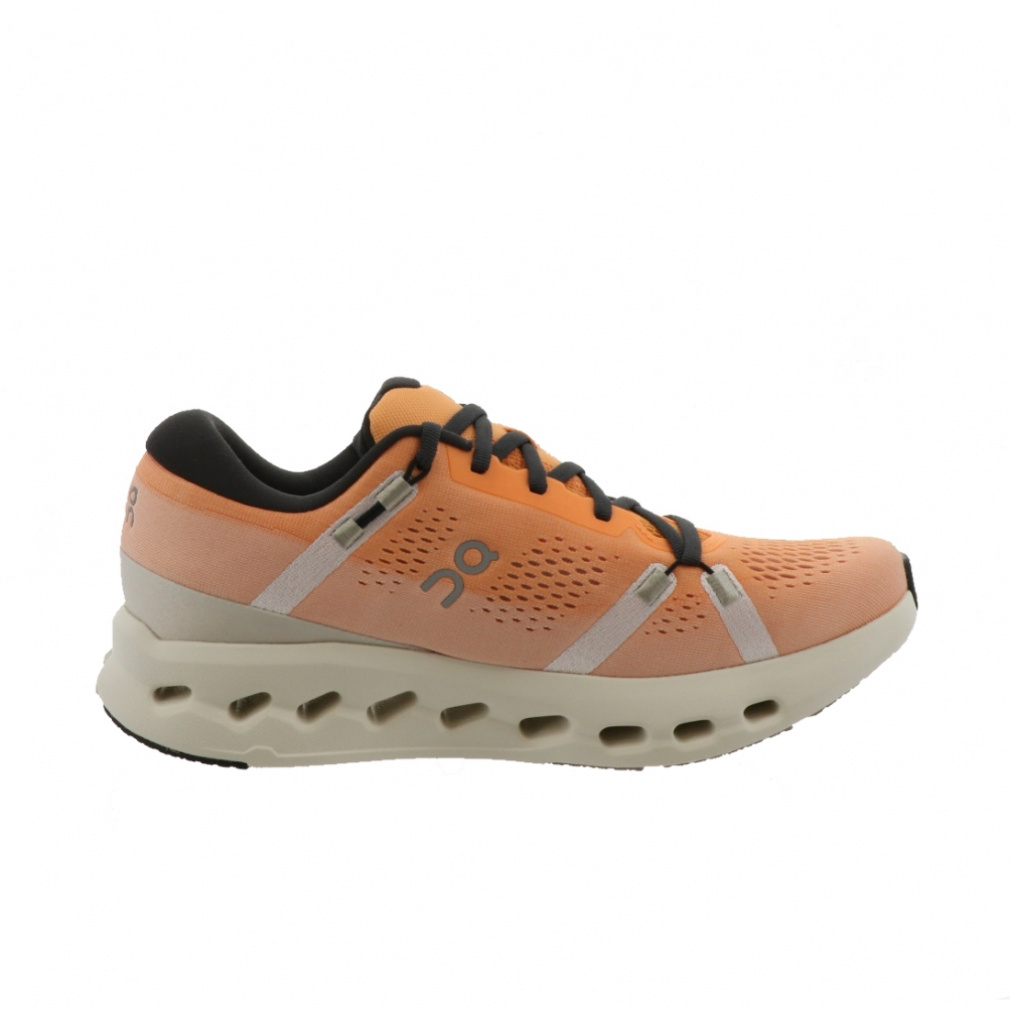 クラウドサーファー 2｜Alpen Online