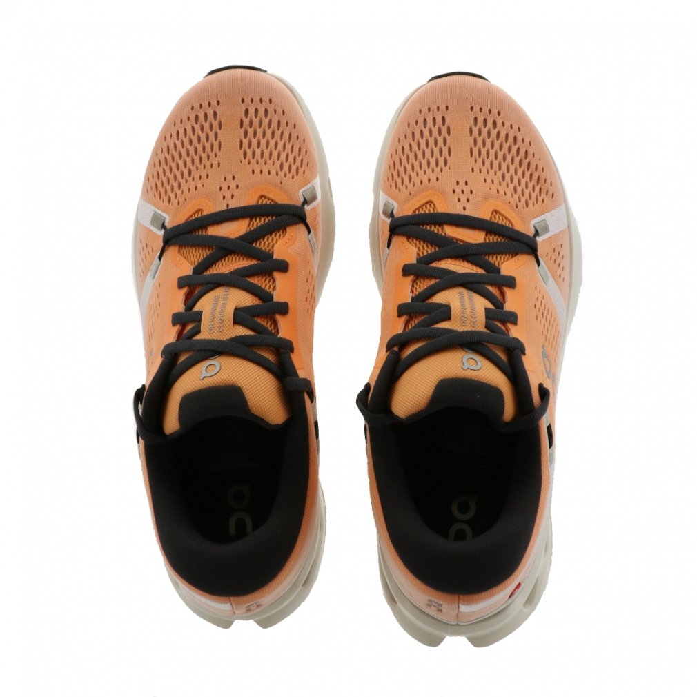 クラウドサーファー 2｜Alpen Online