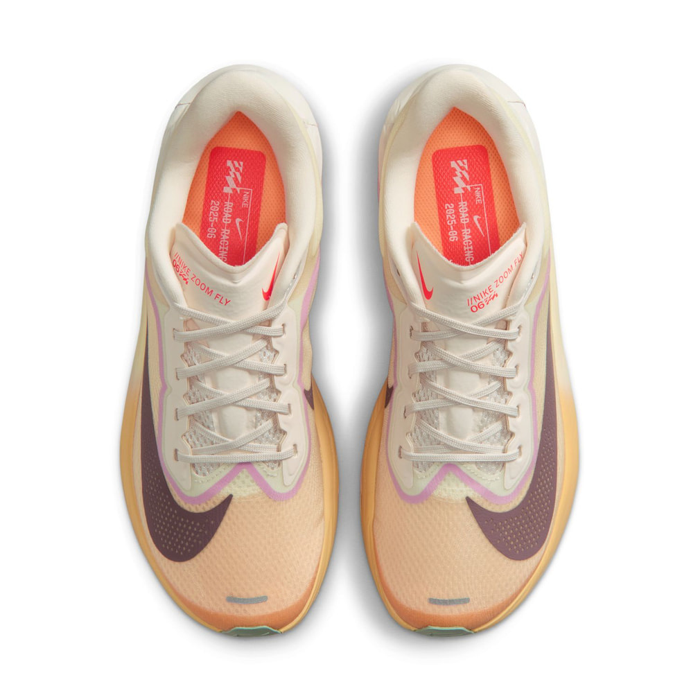 ナイキ ウィメンズ ZOOM FLY 6 ズーム フライ 6 FN8455-106 レディス
