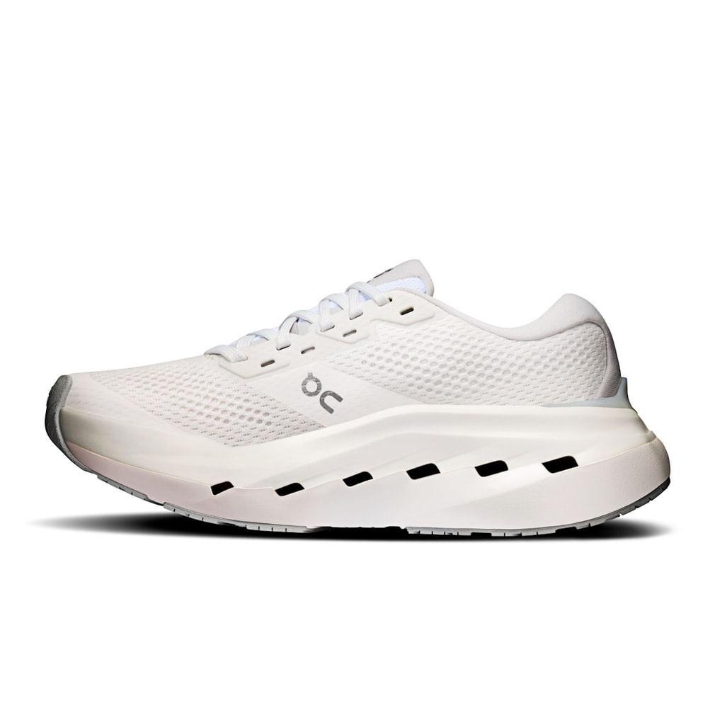 オン Cloudrunner 3 Max クラウドランナー3マックス WG30160813