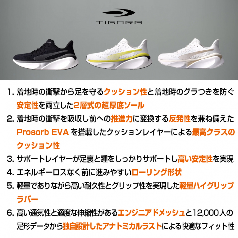 ティゴラ ランニングシューズ FT5/36 WHBE 2E 陸上 ランニング メンズ