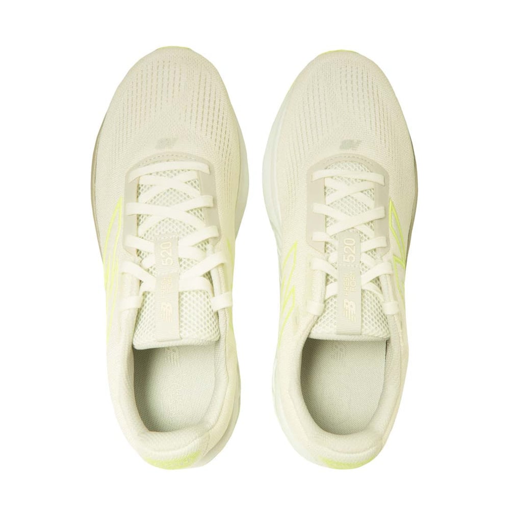 ニューバランス Fresh Foam 520 v9 フレッシュフォーム520 v9 M5203TS
