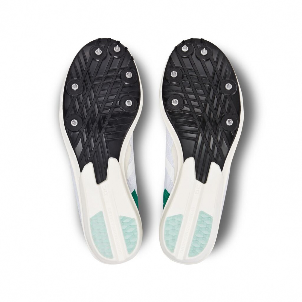 Cloudspike 10000m｜Alpen Online