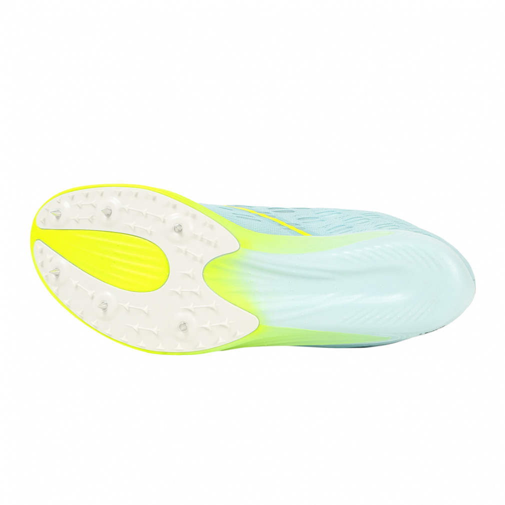 エリミネイト 7｜Alpen Online