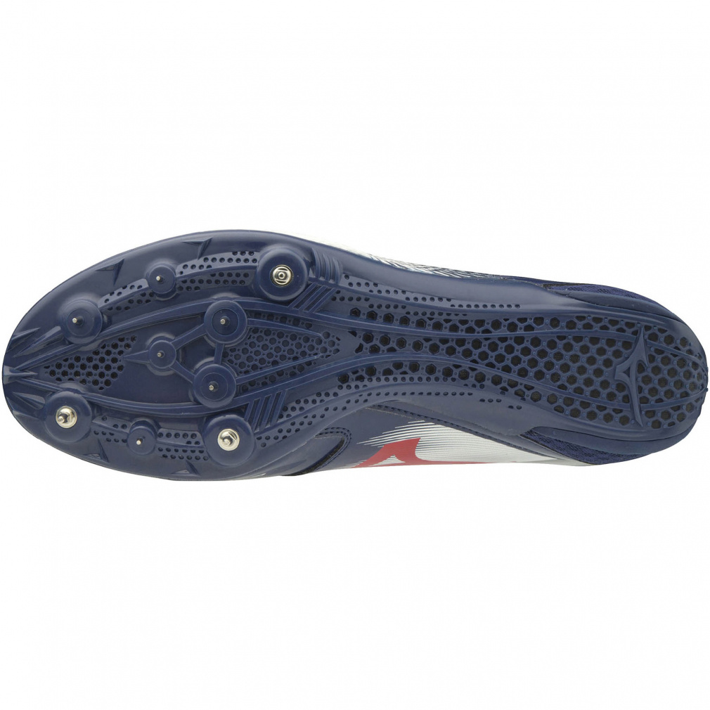 ジオバーサス FX｜Alpen Online