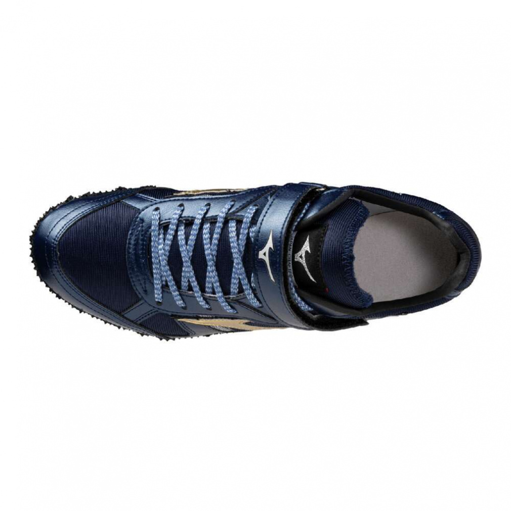 ジオフィールドHJ フィールドジオHJ JAPAN 走高跳/左足踏切用｜Alpen Online