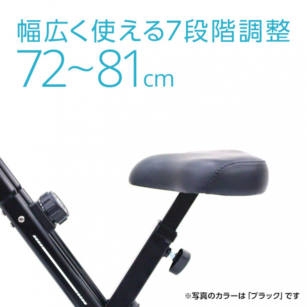 フィットネスバイク FB003-XB YG｜Alpen Online