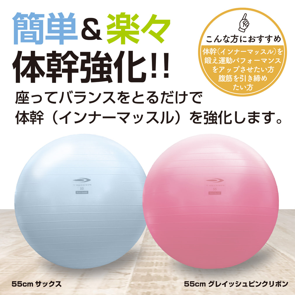 ティゴラ ジムボール フィットネスボール バランスボール ノンバースト