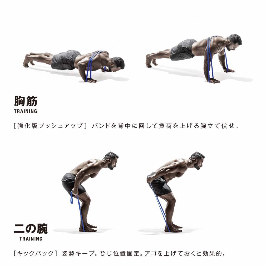 エナジーバンドトレーニング DVD 4枚セット エルガム 筋肉質バンド スタンダード 54154 フィットネス小物 erugam