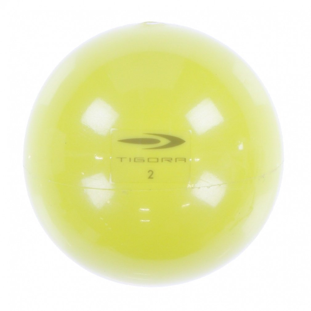 ティゴラ 砂鉄 表面PVCソフトウェイトボール2KG TR ズッシリタマ2K 2