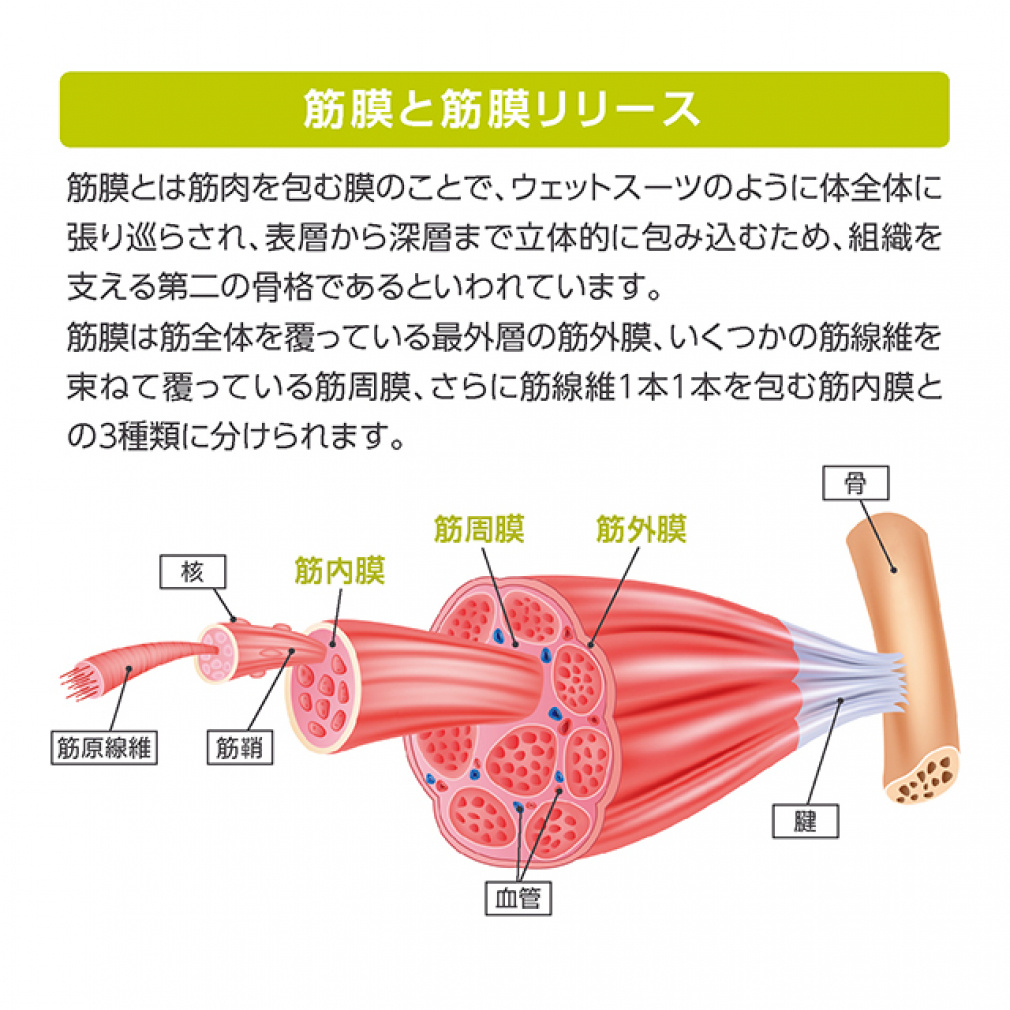 トリガーポイント 【日本正規品】 マッサージボール MBX 04421