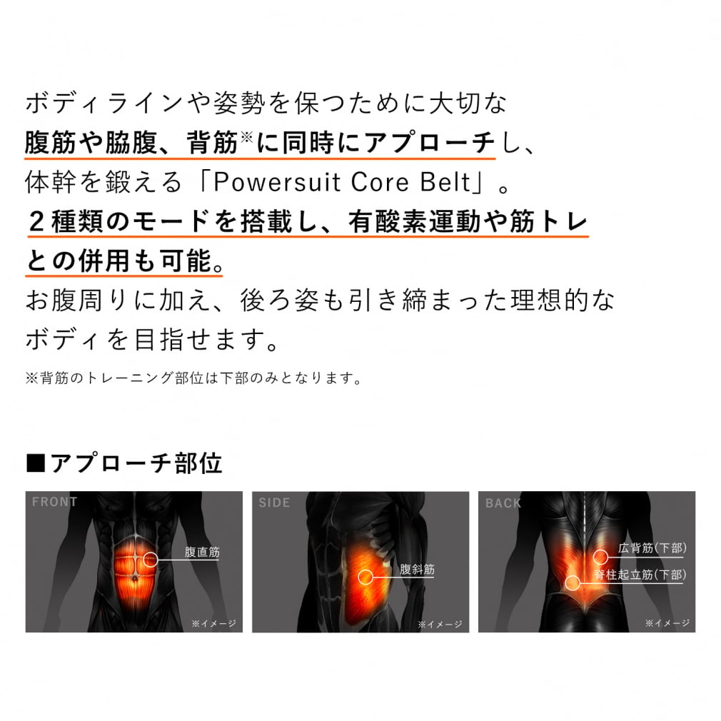 エムティージー フィットネス小物 SIXPAD POWERSUIT COREBELT L SE