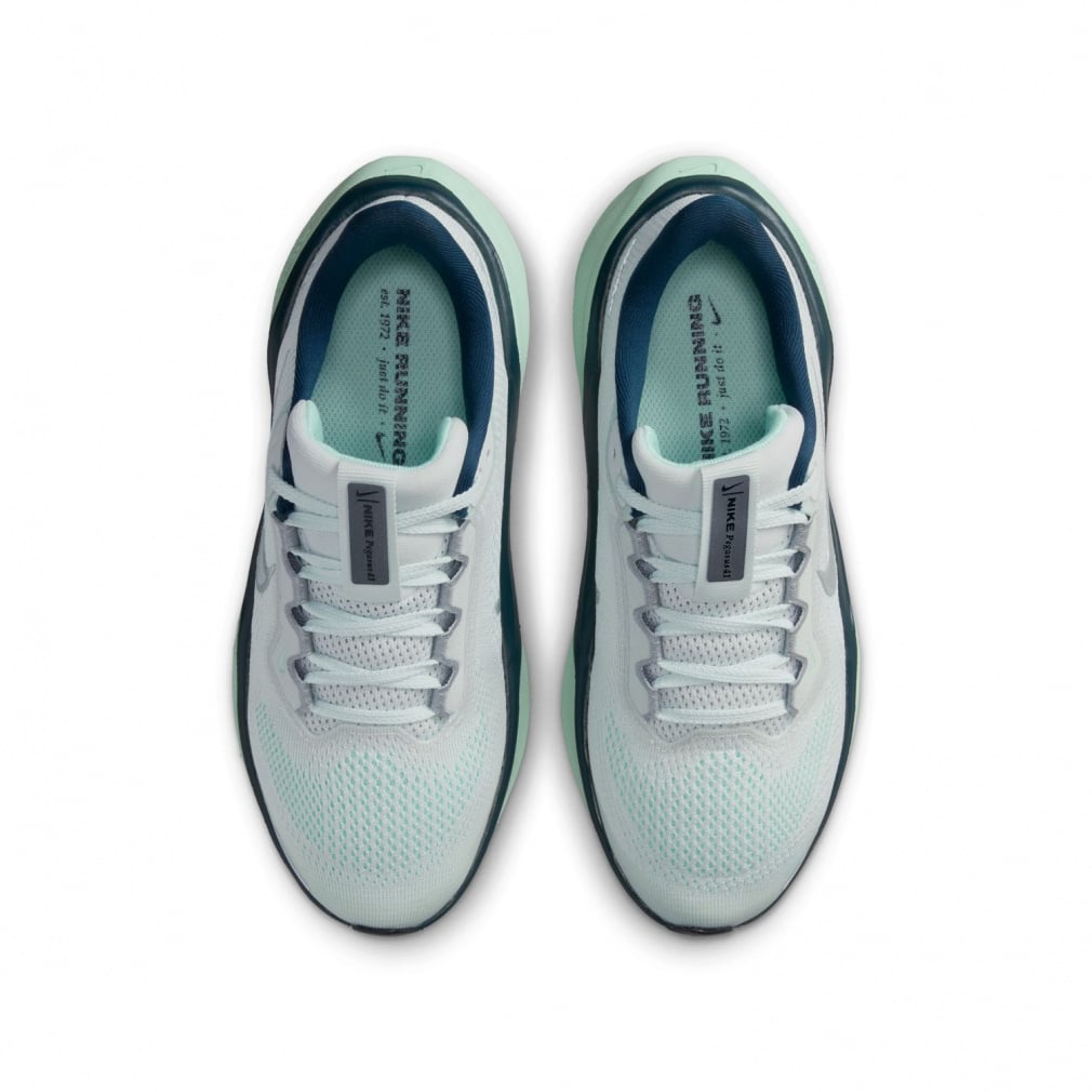 ナイキ エア ズーム ペガサス 41 GS FN5041-404 ジュニア キッズ 子供