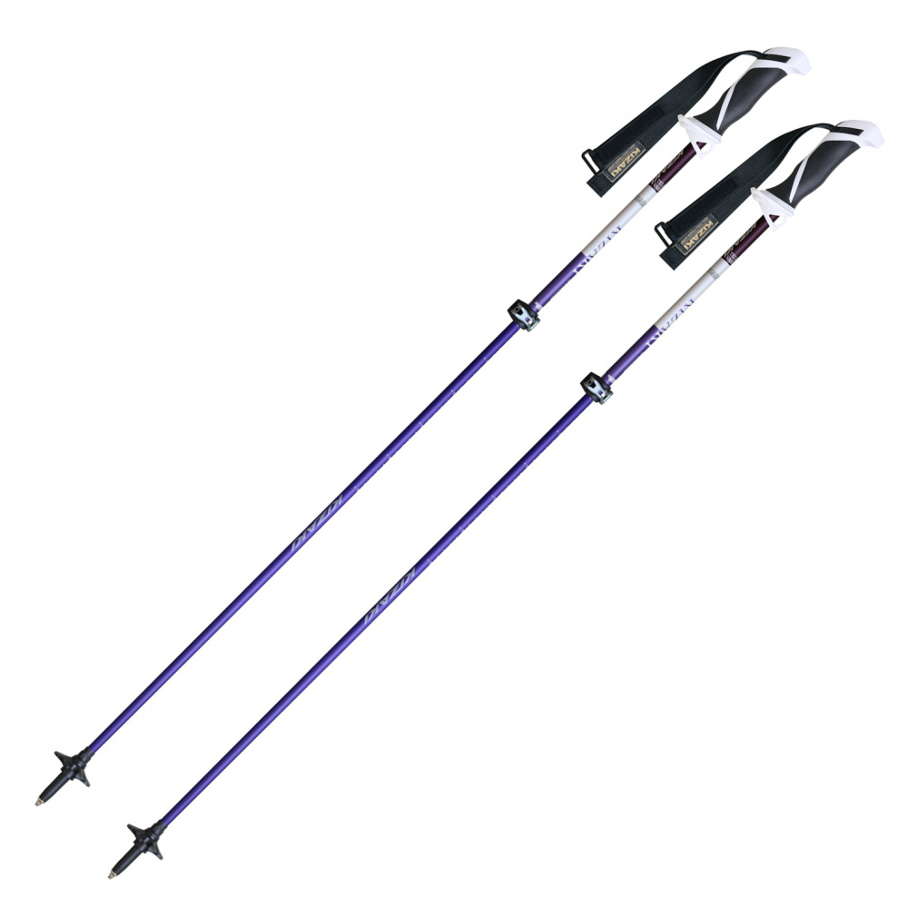 キザキ バリアスTL14 KPBD-9001 メンズ スキー ポール ： パープル