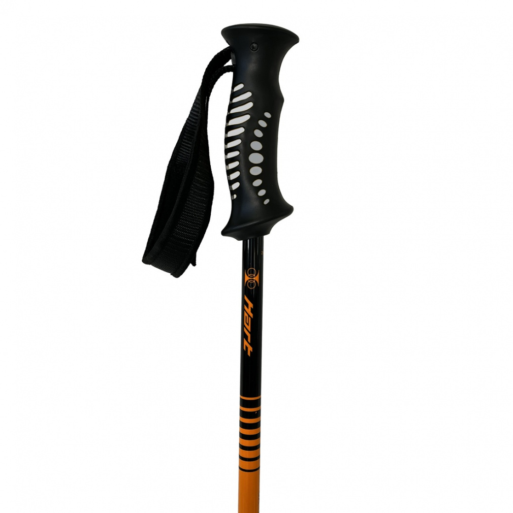 ハート CA-AJS _ オレンジ_カーボンAJS メンズ スキー ポール