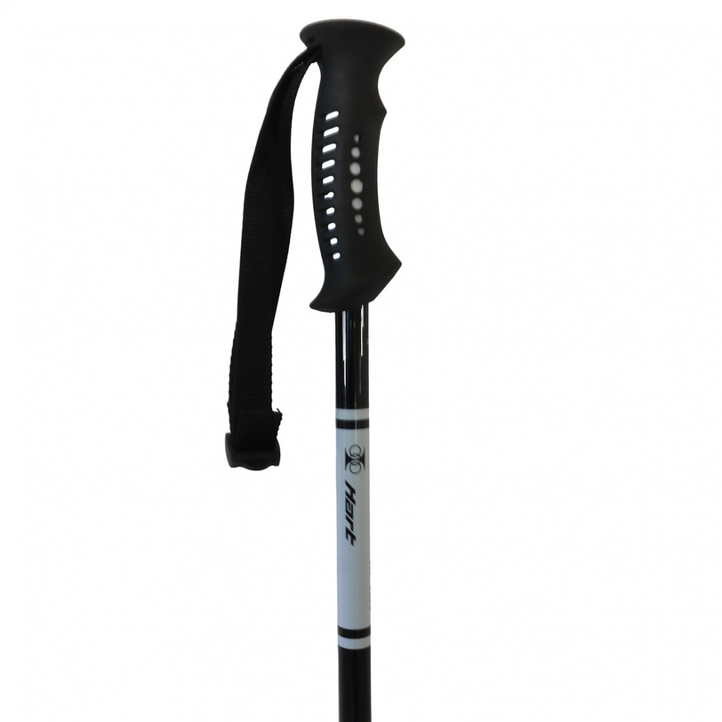 ハート AL-AJS ブラック_アルミAJS 5053011315 メンズ スキー ポール