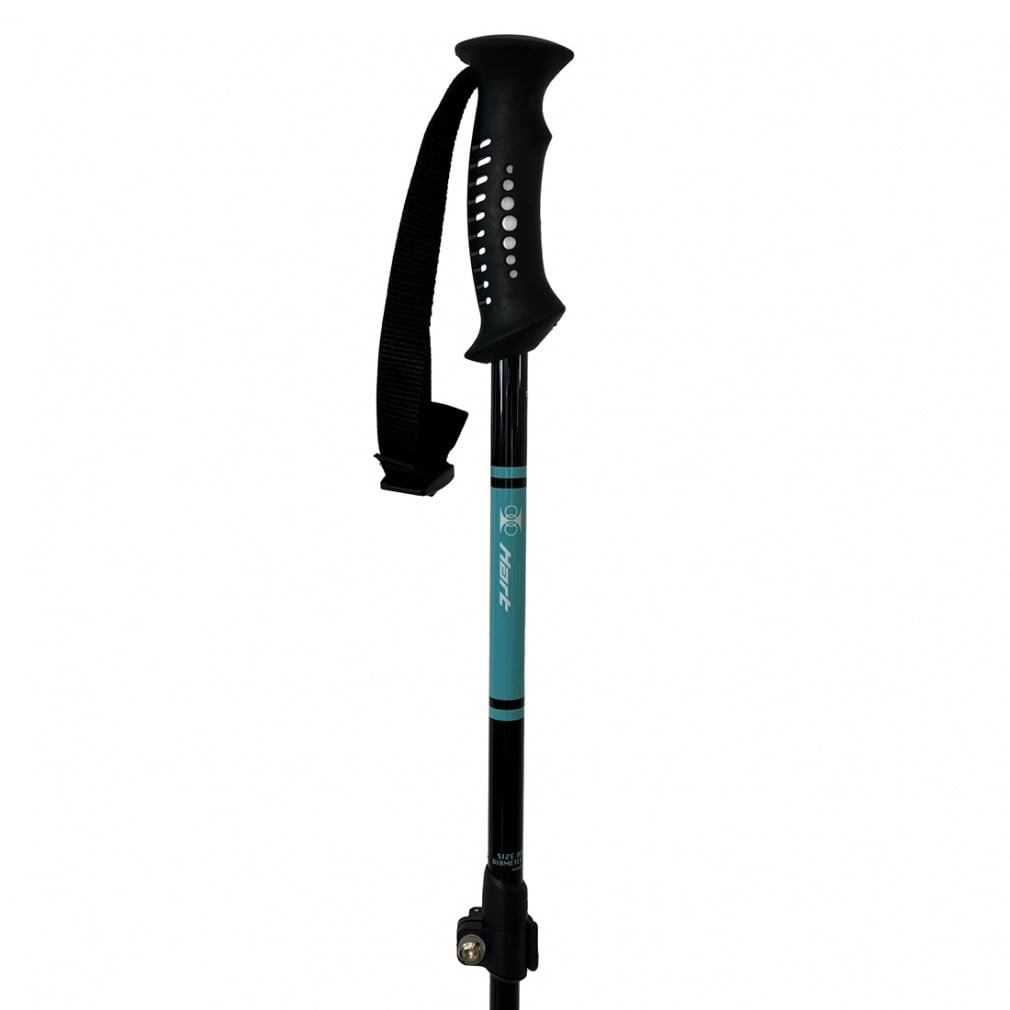 ハート AL-AJS ターコイズブルー_アルミAJS 5053011415 メンズ スキー