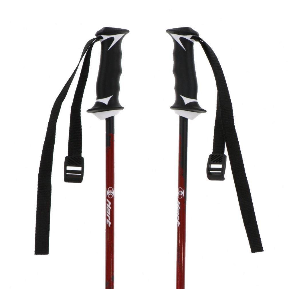 スキーポール カーボン｜Alpen Online