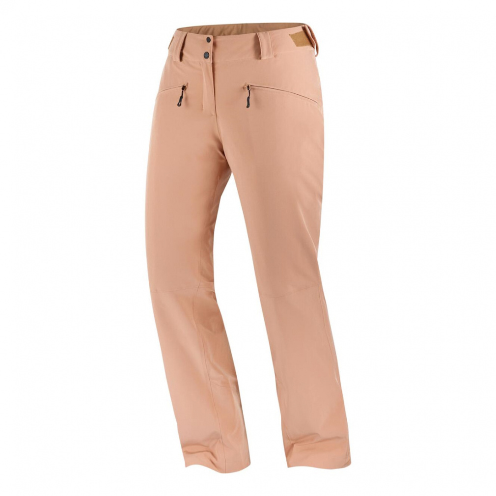 サロモン レディース スキー パンツ エッジ パンツ EDGE PANT W