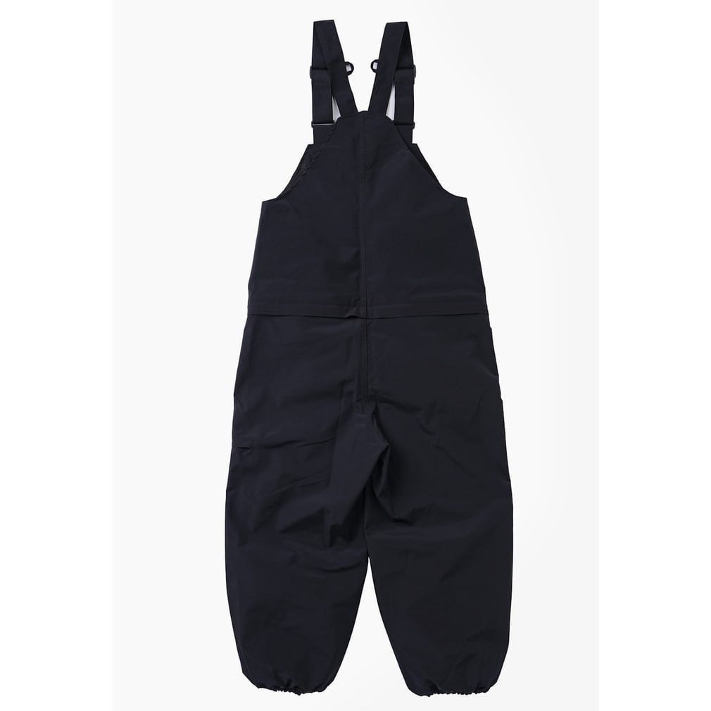 アンセム メンズ スノーボード パンツ ANTHEM THUGRIDE BIB AN2670