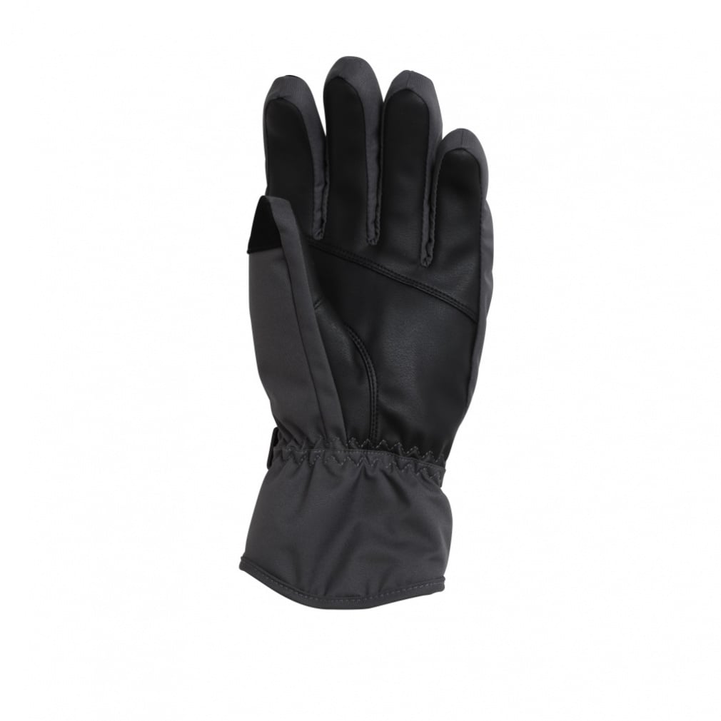 フェニックス メンズ スキー グローブ Transcends Shade Gloves