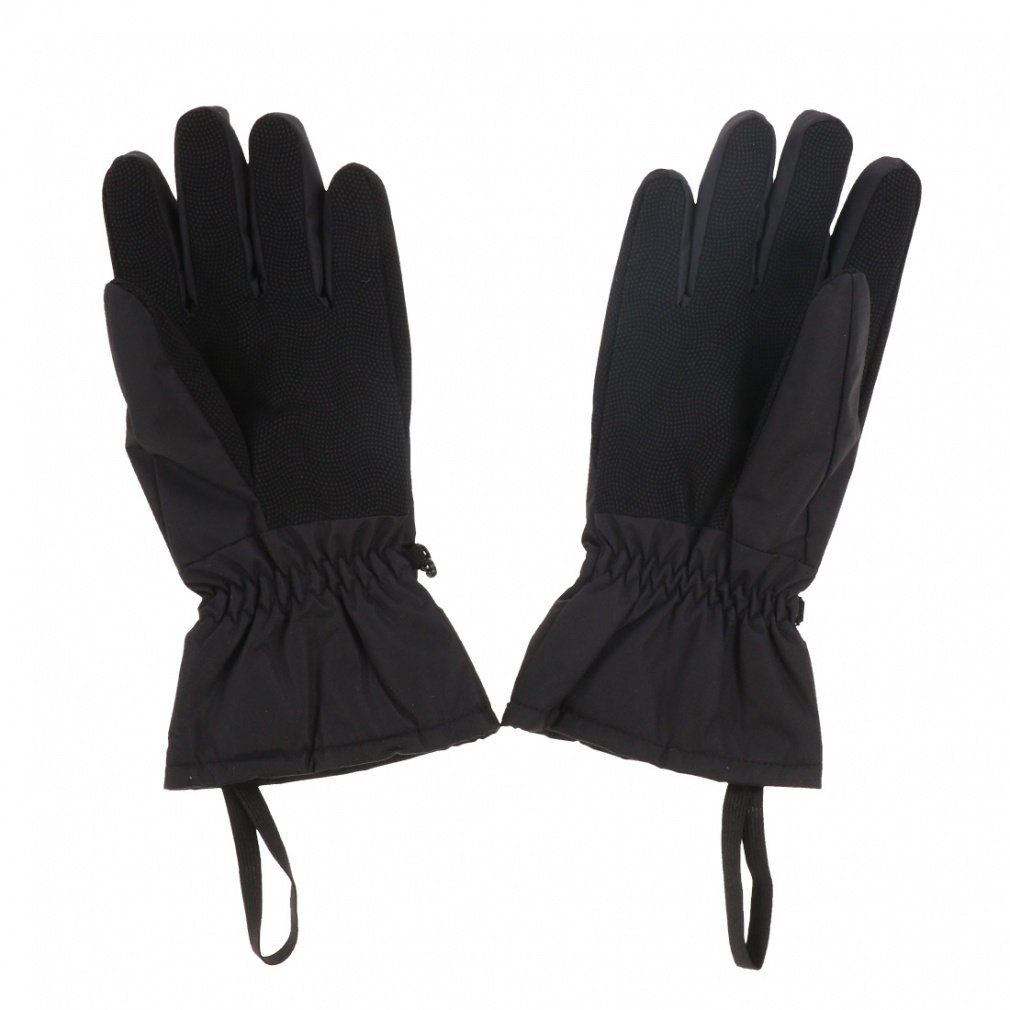 スキーウェア　ブーツ　グローブ HAYDEN メンズ スキー グローブ｜Alpen Online