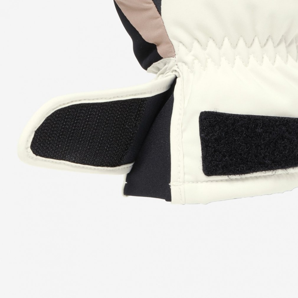 ゴールドウィン レディース スキー グローブ ウィメンズマルチスキー